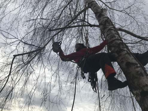 Gallyazás Biatorbágy