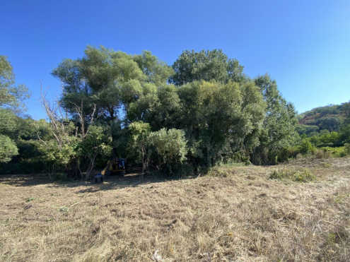 Gépi bozótirtás Tatabánya