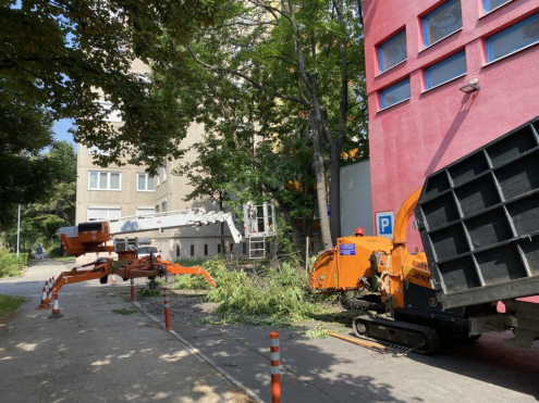 Kosaras Gallyazás Budapest 11. kerület