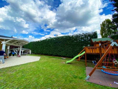 Sövénynyírás után