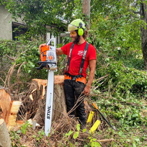 Fakivágás Stihl termékkel