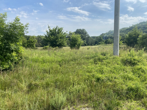 Szárzúzás Tatabánya