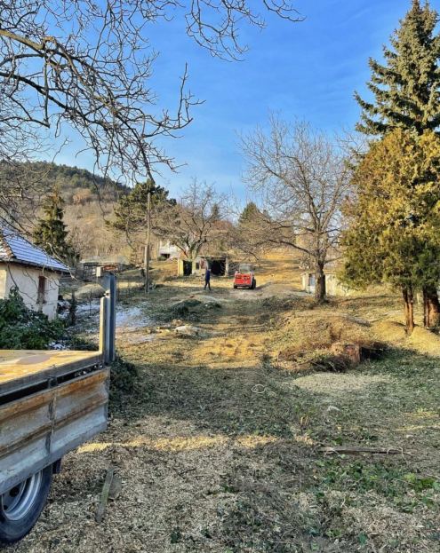 Telektisztítás Budaörs
