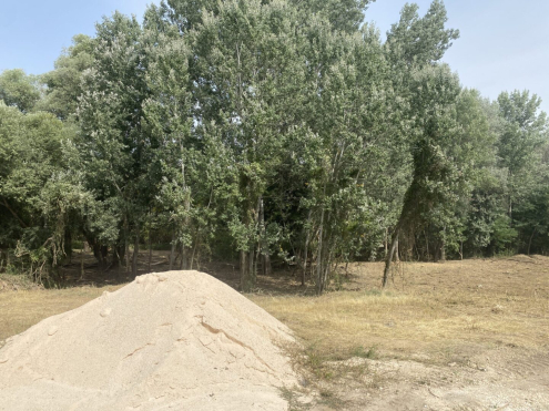 Területtisztítás Tatabánya