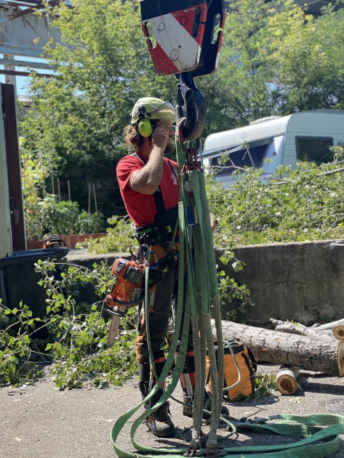 Veszélyes Fakivágás Budapest 21. kerület