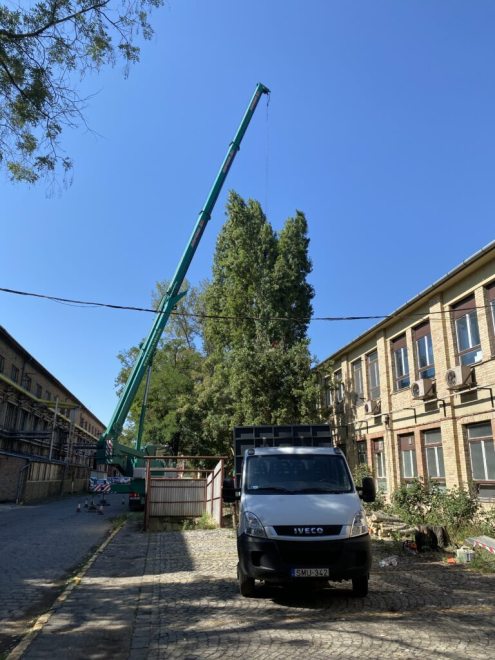 Veszélyes Fakivágás Csepel