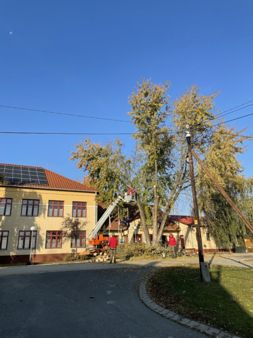 Veszélyes fakivágás gyermely