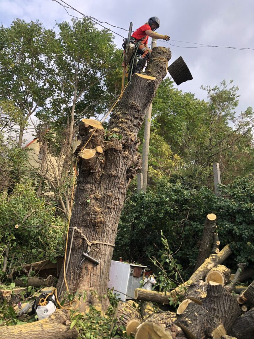 AXE&SAW