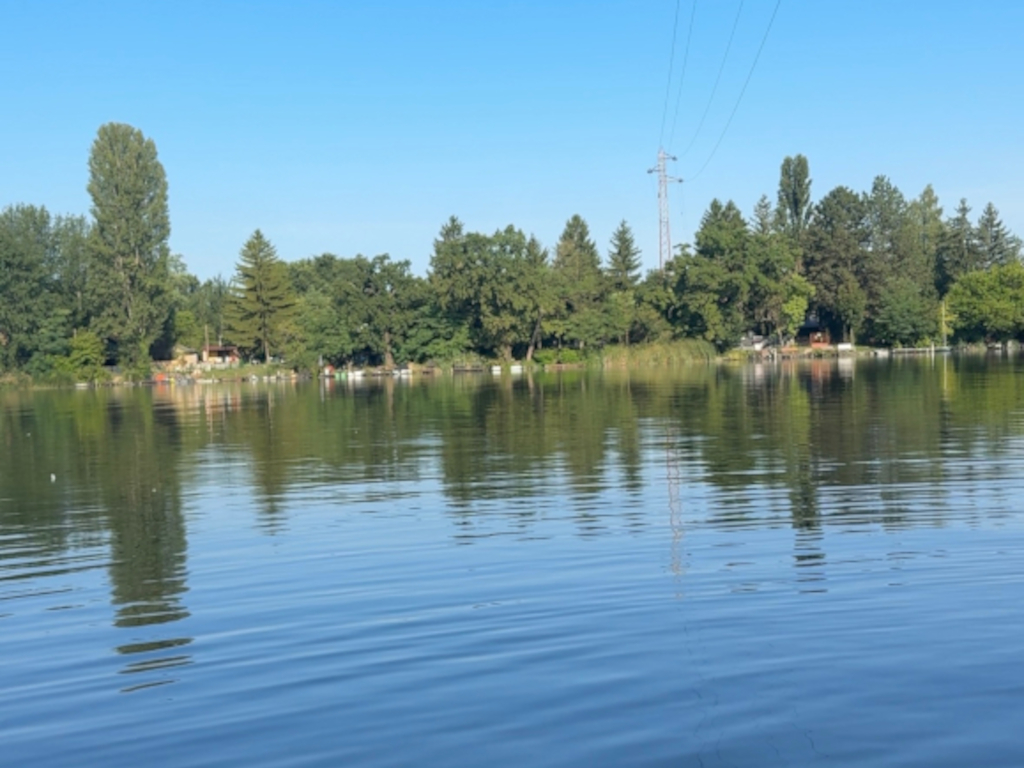 Veszélyes fakivágás alpintechnikával – Ráckeve, Angyali-sziget